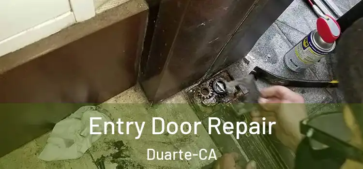  Entry Door Repair Duarte-CA
