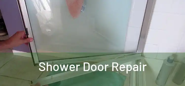 Shower Door Repair